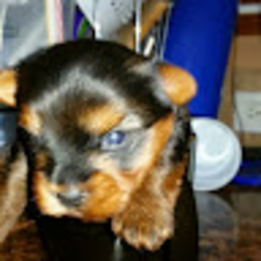 Meet your Posher, Heather